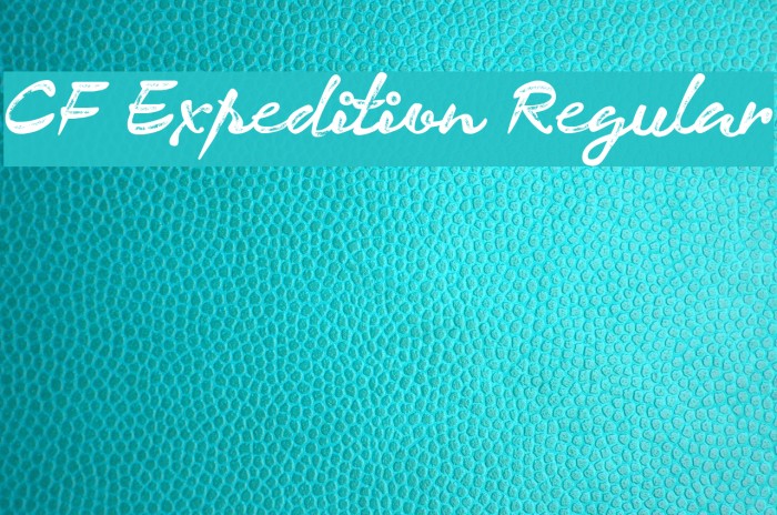 CF Expedition Regular Font examples