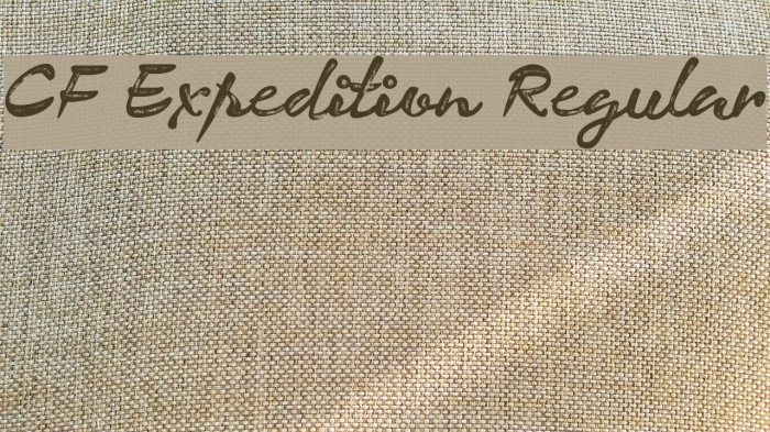 CF Expedition Regular Font examples