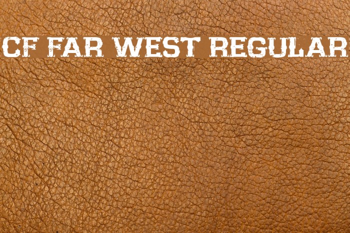 CF Far West Regular Font examples