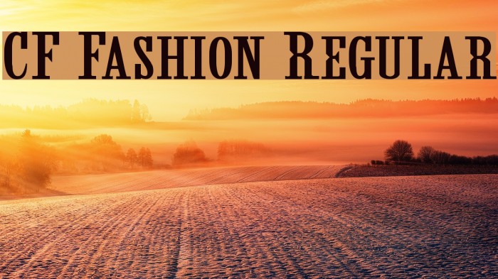 CF Fashion Regular Font examples