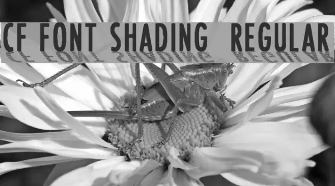 CF Font Shading  Regular Font examples