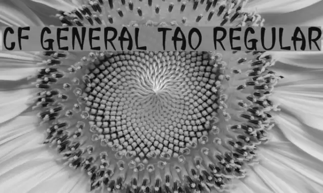 CF General Tao Regular Font examples