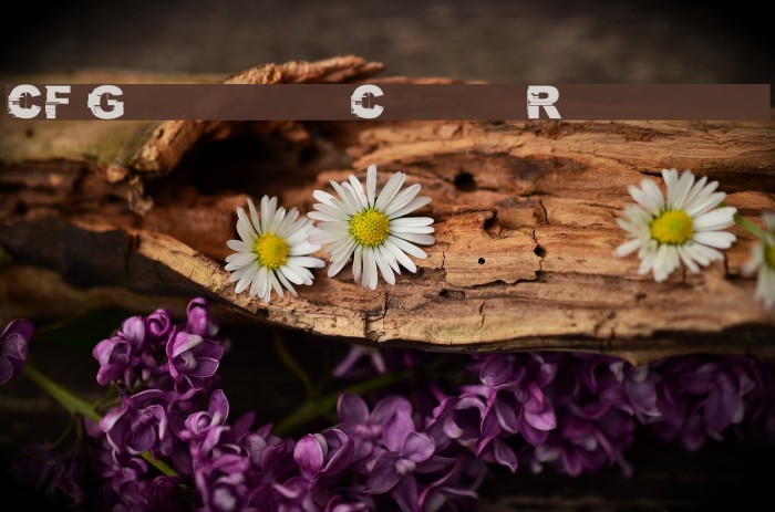 CF Glitch City Regular Example 1