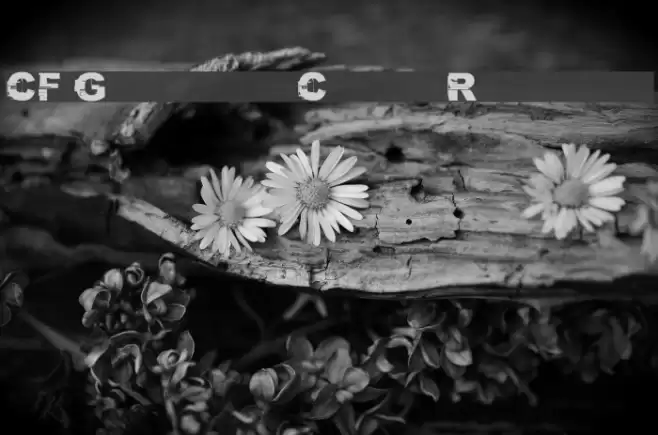 CF Glitch City Regular Font examples