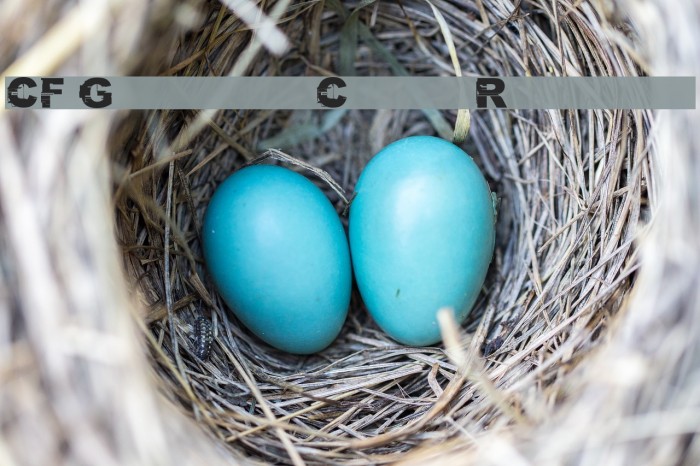 CF Glitch City Regular Example 2