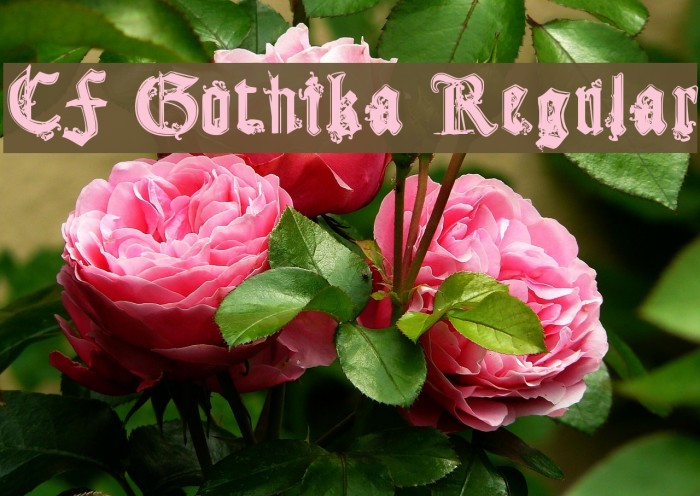 CF Gothika Regular Font examples