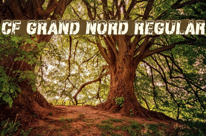 CF Grand Nord Regular Font examples
