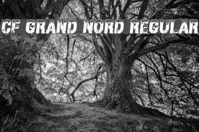 CF Grand Nord Regular Font examples