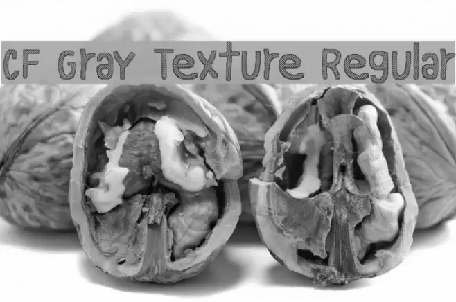 CF Gray Texture Regular Font examples