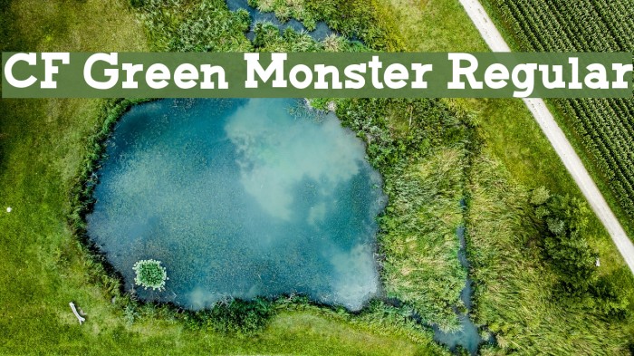 CF Green Monster Regular Font examples