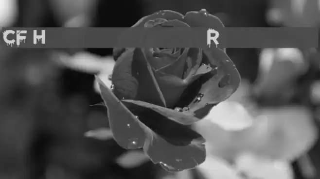 CF Halloween Regular フォント examples