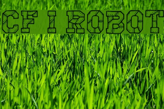 CF I Robot Example 1