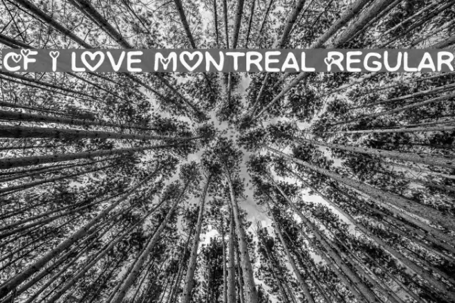 CF I love Montreal Regular Font examples