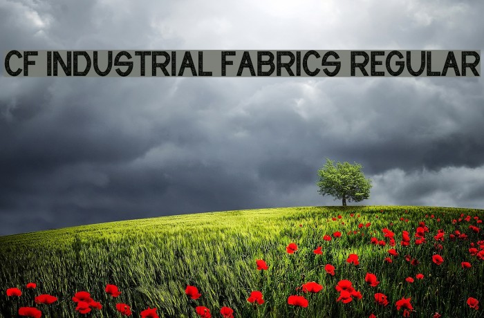 CF Industrial Fabrics Regular Font examples