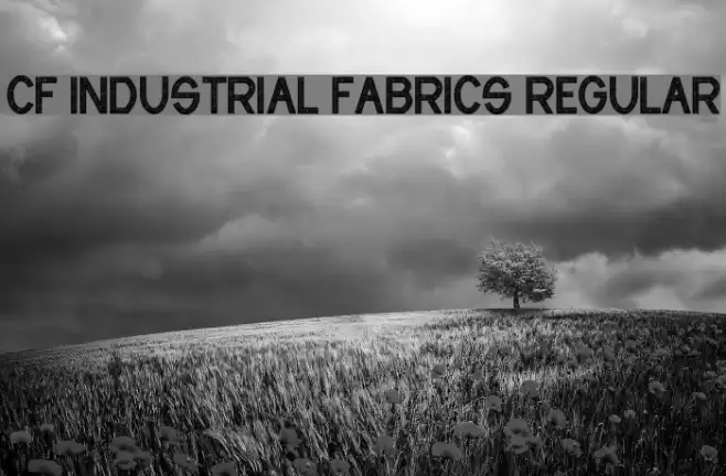 CF Industrial Fabrics Regular خط examples