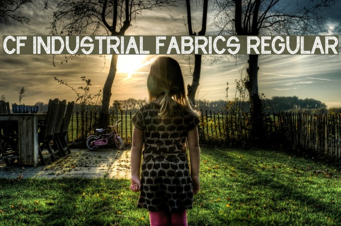 CF Industrial Fabrics Regular Font examples