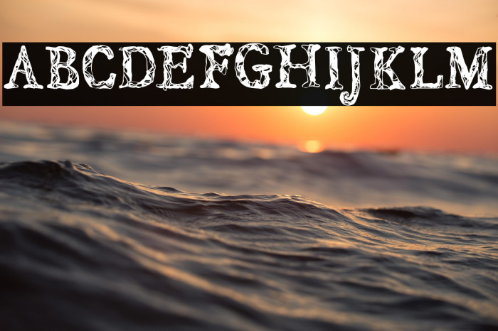 CF JUNGLE Regular Example 2