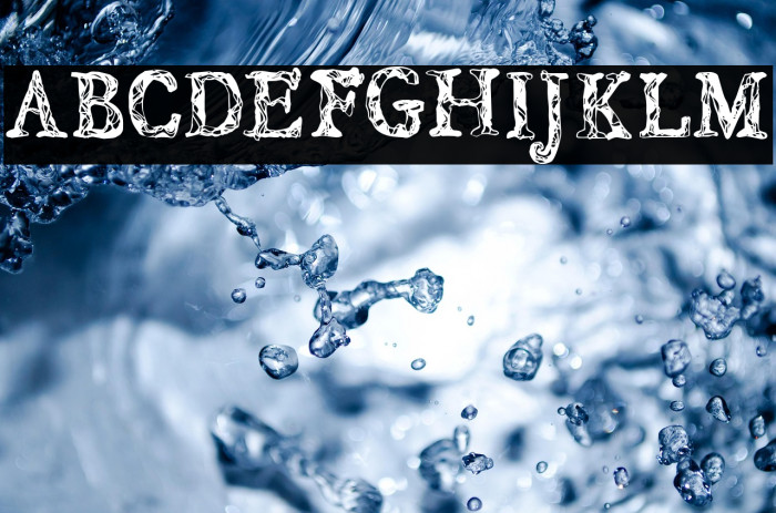 CF JUNGLE Regular Example 3