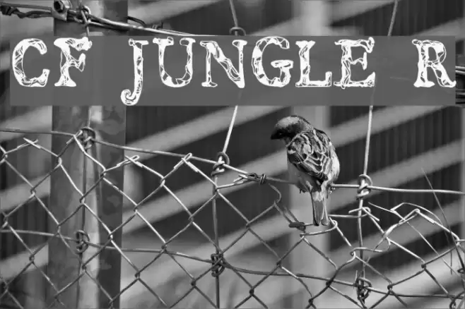CF JUNGLE Regular Font examples