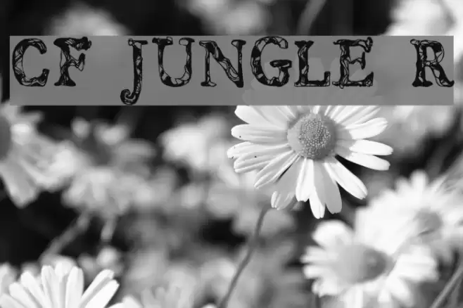 CF JUNGLE Regular Font examples