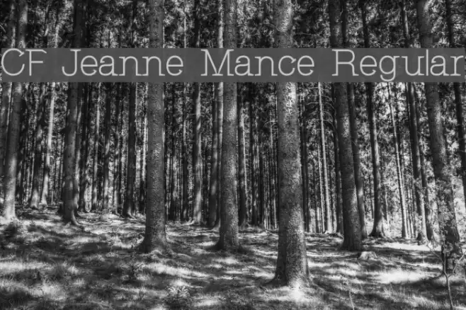 CF Jeanne Mance Regular Font examples