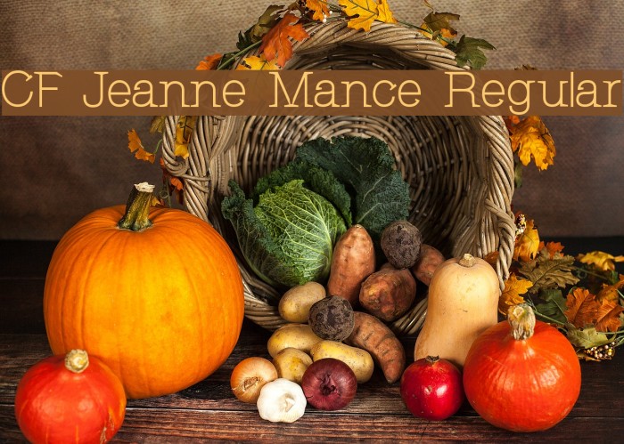 CF Jeanne Mance Regular Font examples