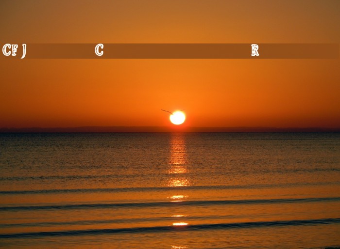 CF Jeans Collection Regular Example 1