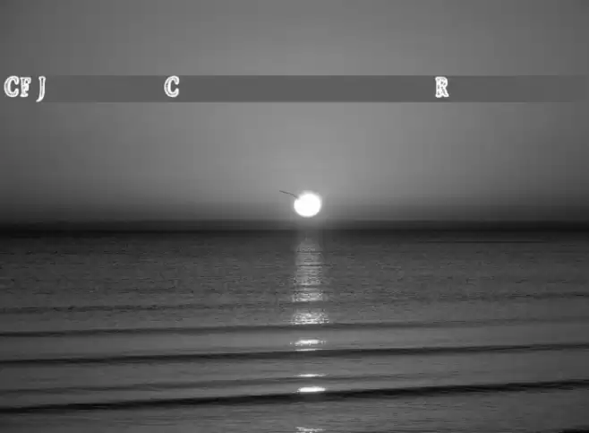 CF Jeans Collection Regular Font examples