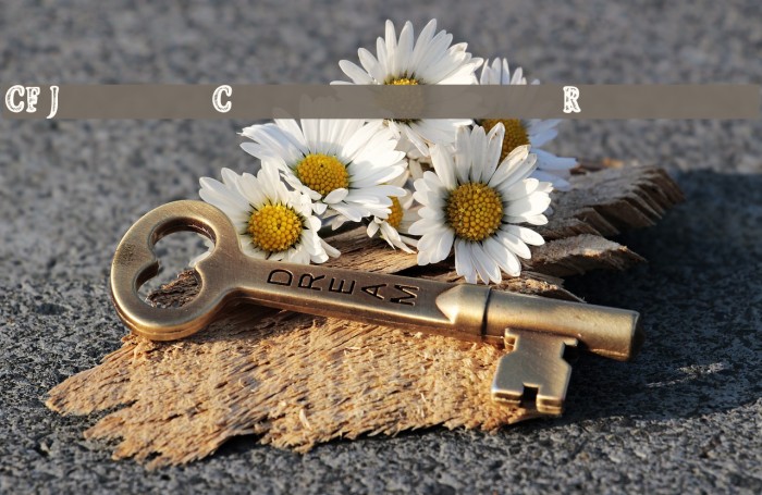 CF Jeans Collection Regular Example 2