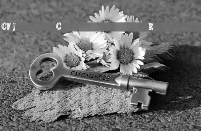 CF Jeans Collection Regular Font examples