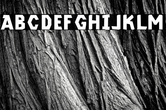 CF Kremzin Demo Regular Example 1