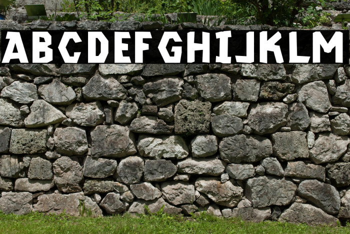 CF Kremzin Demo Regular Example 2