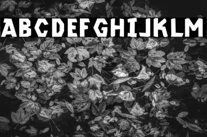 CF Kremzin Demo Regular خط examples