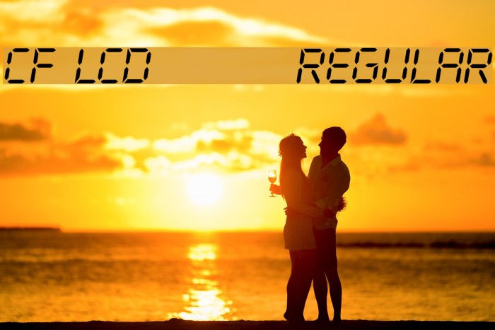 CF LCD 521 Regular Example 3