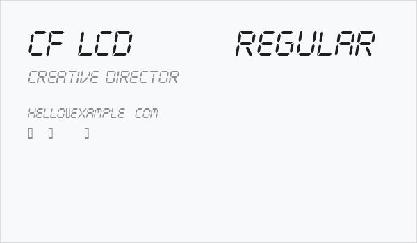 CF LCD 521 Regular Business Card