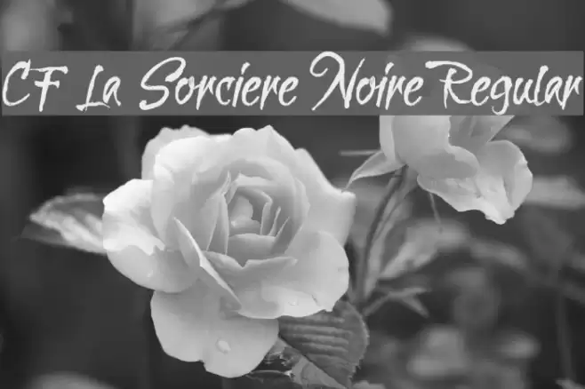 CF La Sorciere Noire Regular Font examples