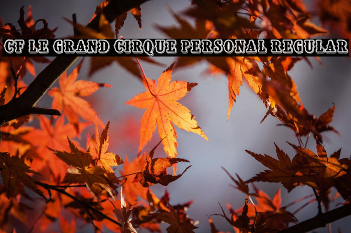 CF Le grand cirque Personal Regular Example 2