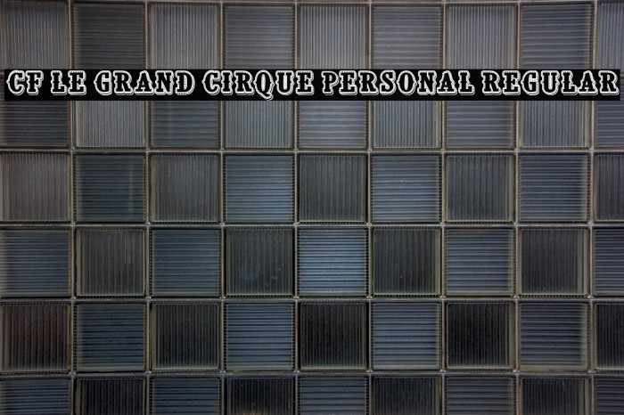 CF Le grand cirque Personal Regular Example 3