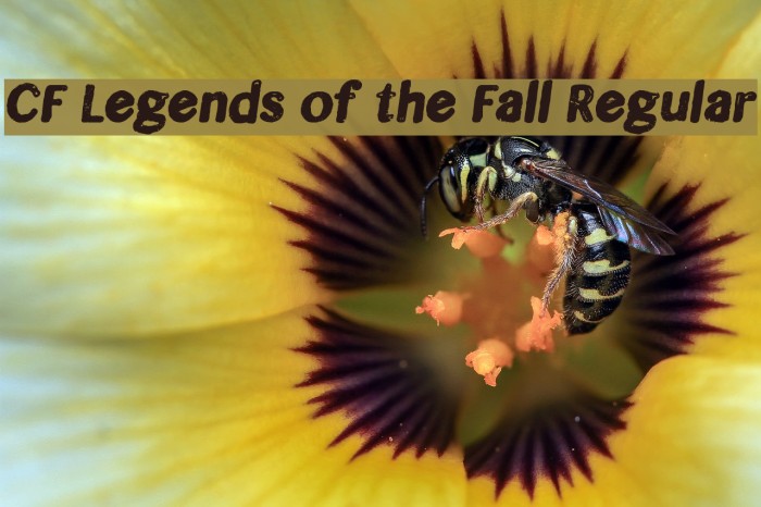 CF Legends of the Fall Regular Schriftart examples