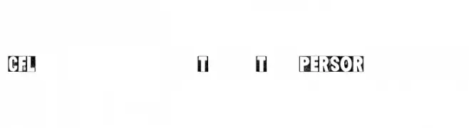 CF Letterpress Type Two PERSO Regular  Fuentes Gratis Descargar