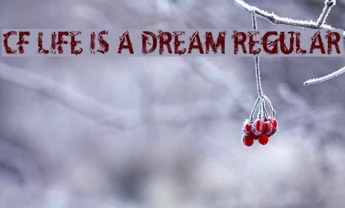 CF Life Is A Dream Regular Example 3