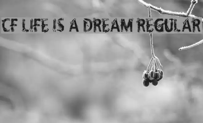 CF Life Is A Dream Regular Font examples