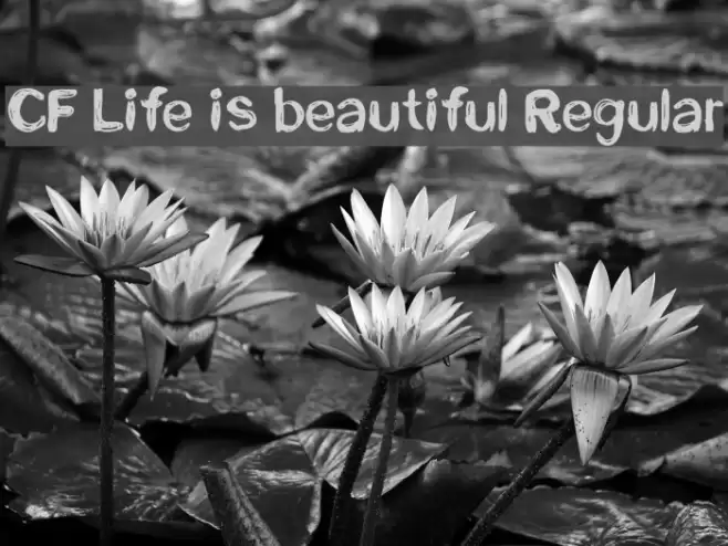 CF Life is beautiful Regular Font examples