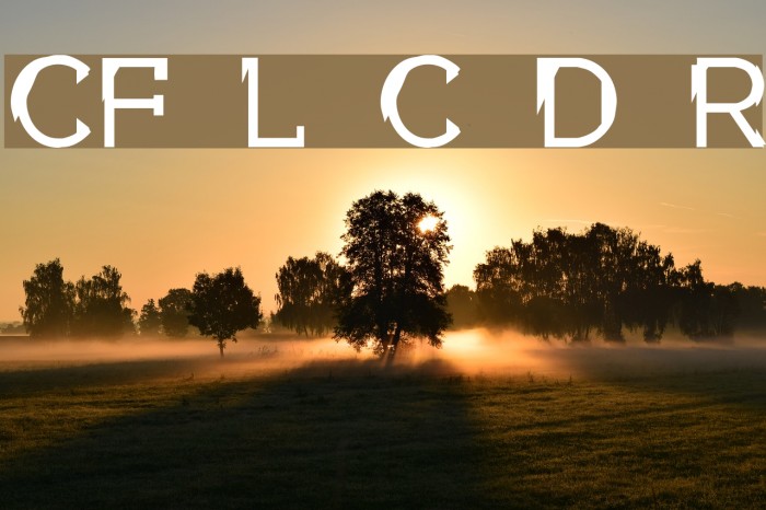 CF Louis Cyr Demo Regular Font examples