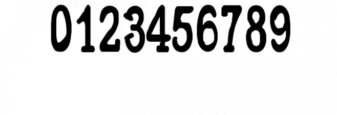CF Metropolis Serif Regular Font OTHER CHARS
