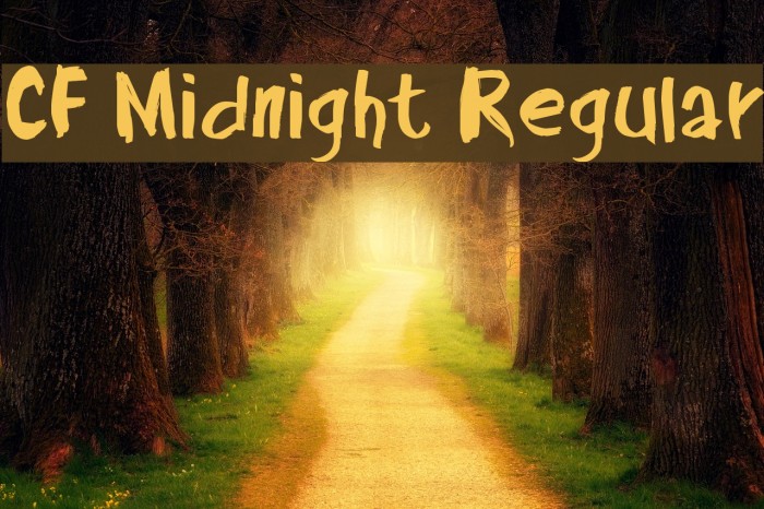 CF Midnight Regular Font examples
