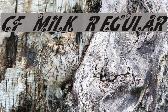 CF Milk Regular Example 1