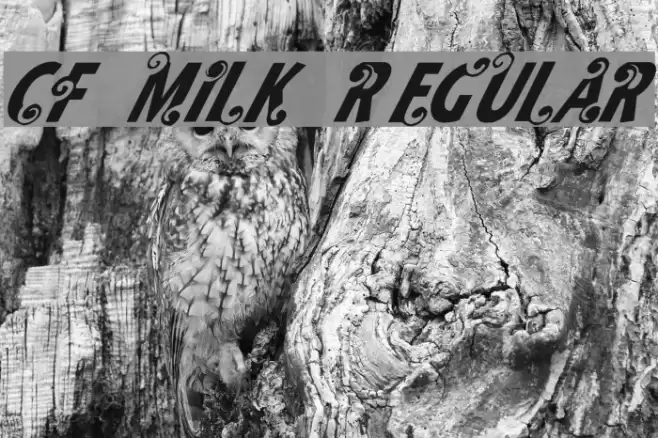 CF Milk Regular Font examples