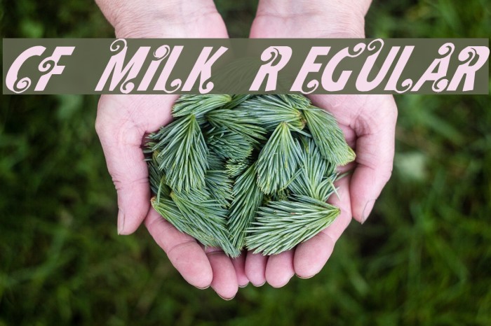 CF Milk Regular Example 2