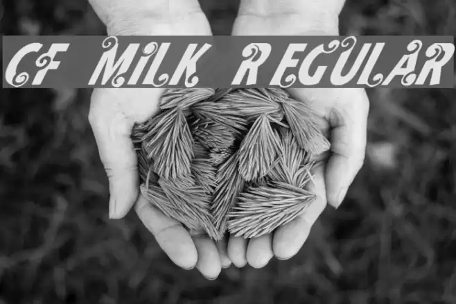 CF Milk Regular Font examples